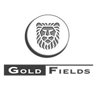 Gold Fields